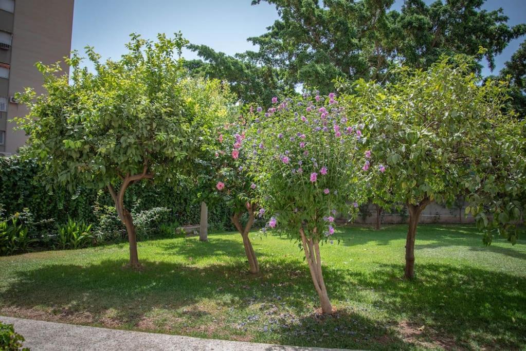 Piso Con Jardin Lägenhet Málaga Exteriör bild